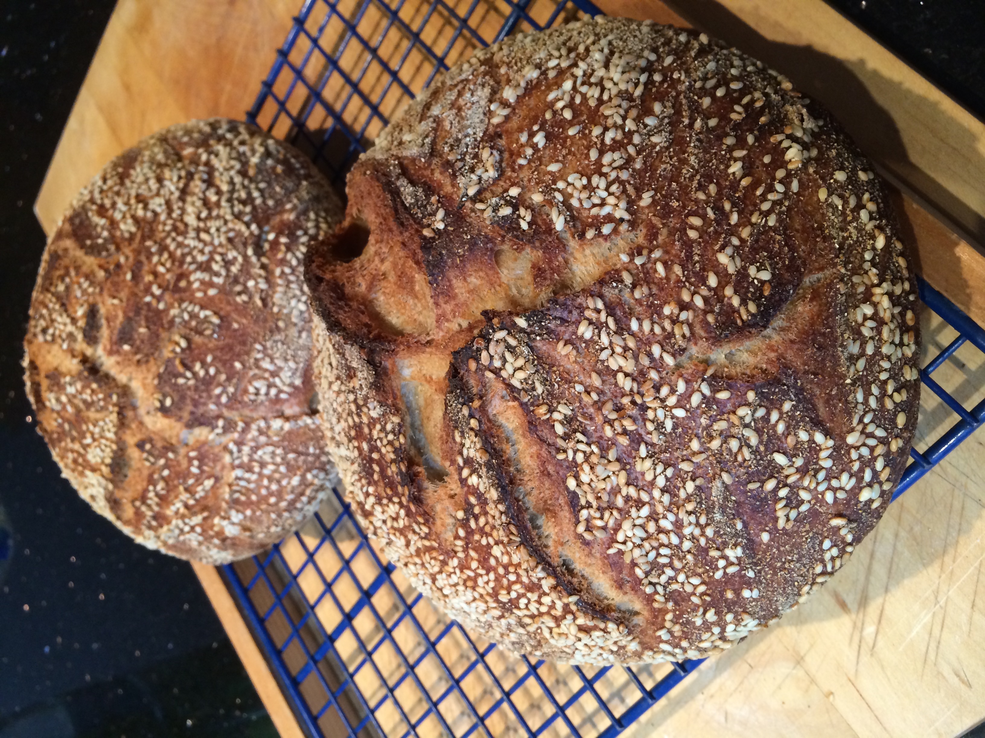 No-Knead Christmas Bread, December 2013